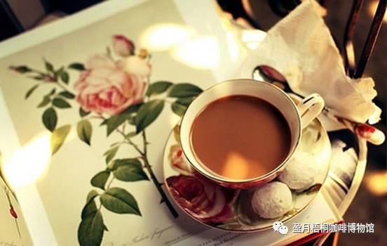 咖啡厅绿植_咖啡厅绿植搭配理念_绿植咖啡馆